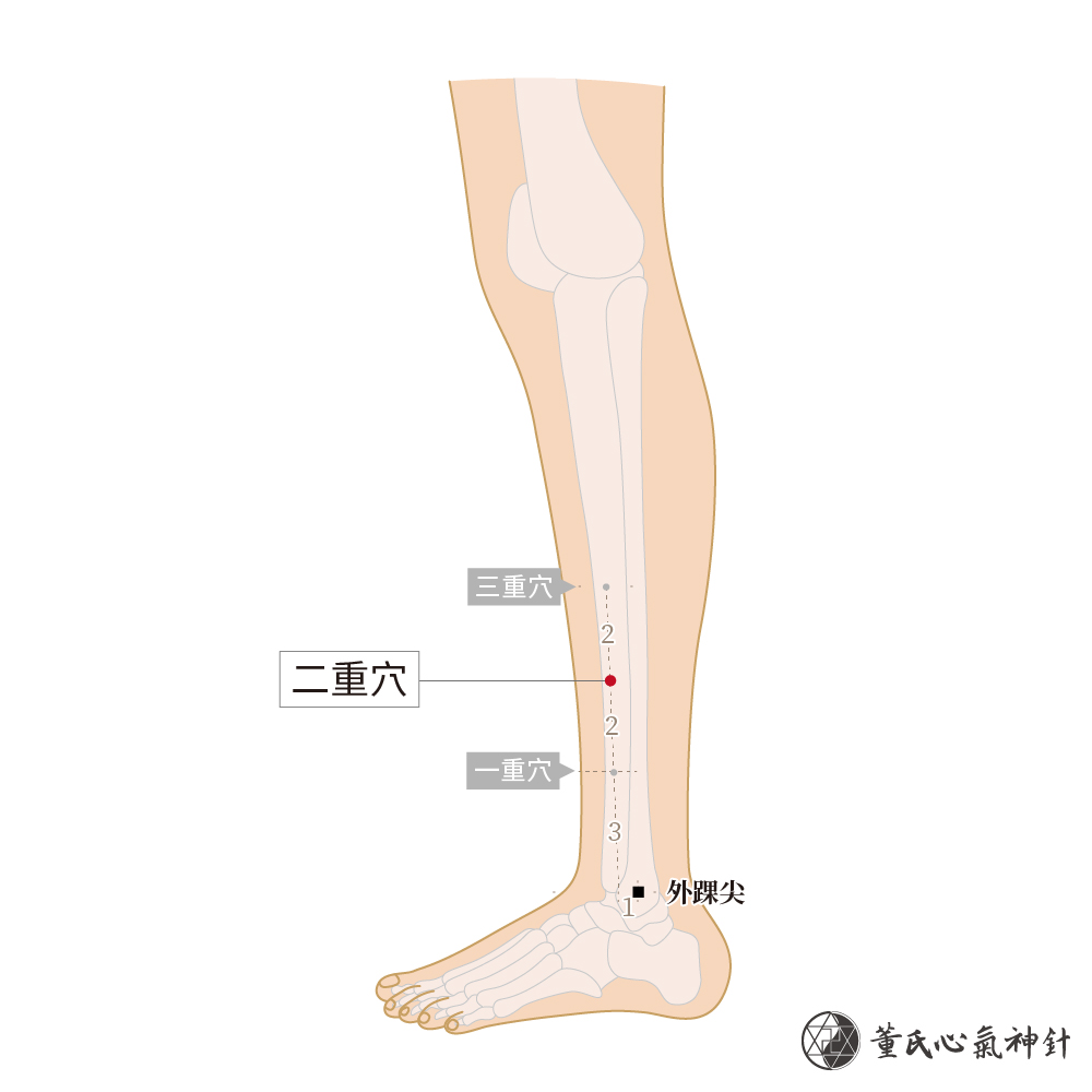 二重穴 董氏心氣神針