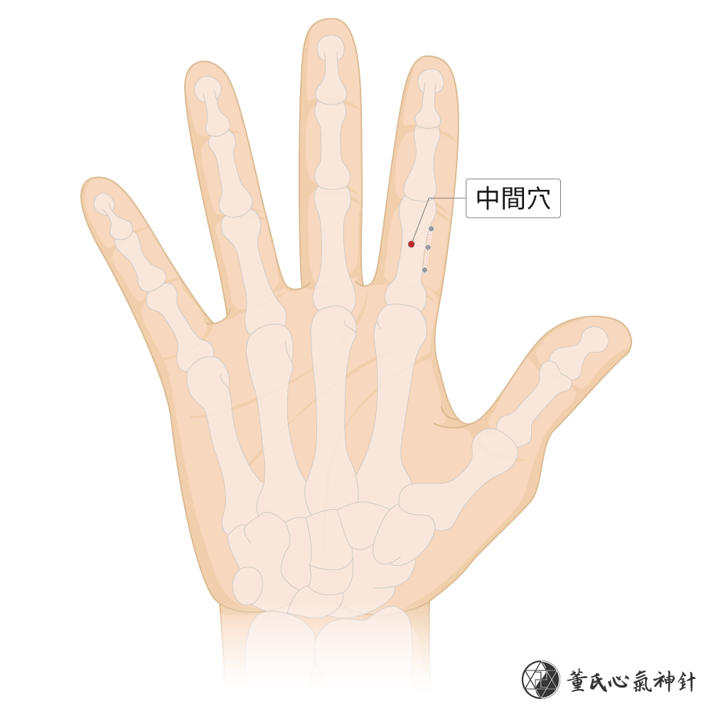 中間穴位於食指掌面間上區右手示意圖