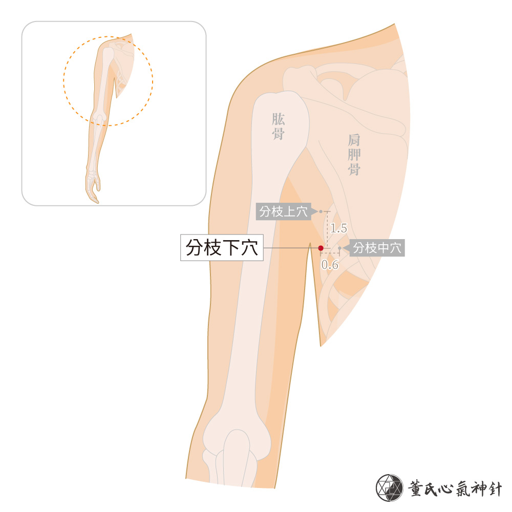 分枝下穴