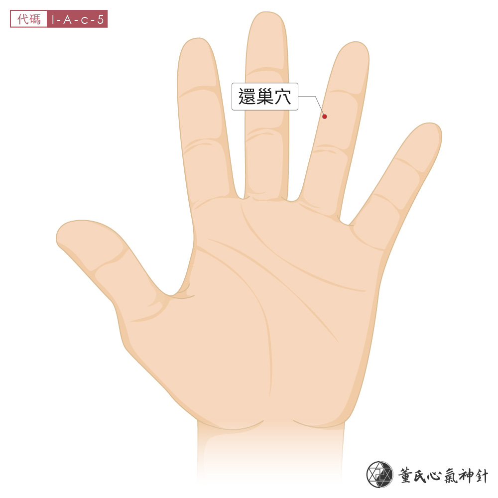 I-A-c-5 還巢穴左手