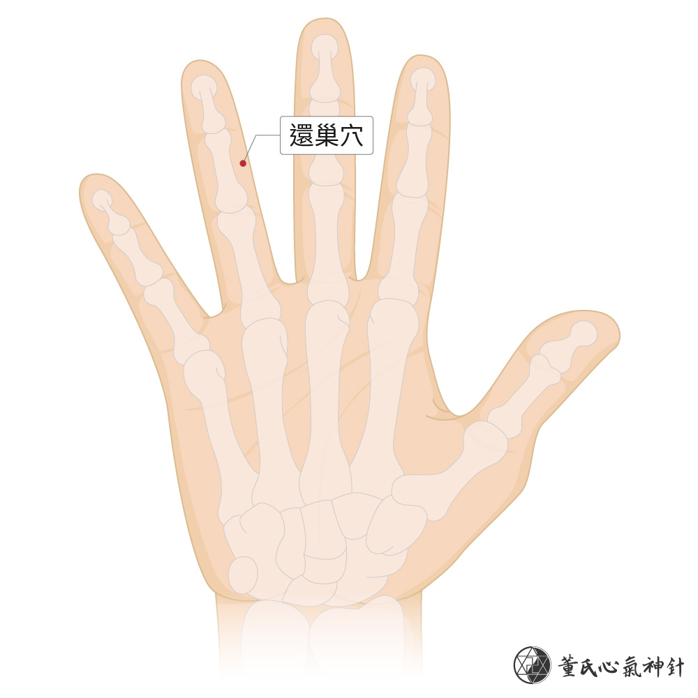 I-A-c-5 還巢穴右手
