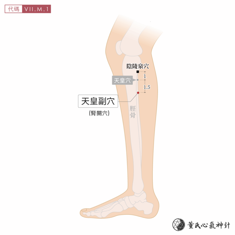 天皇副穴 | 董氏心氣神針