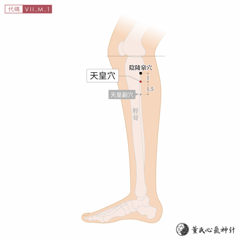天皇穴 | 董氏心氣神針