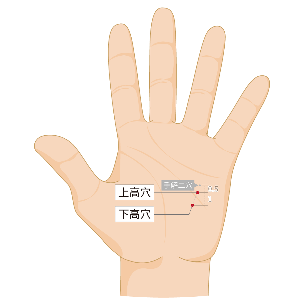 上高穴、下高穴-左手