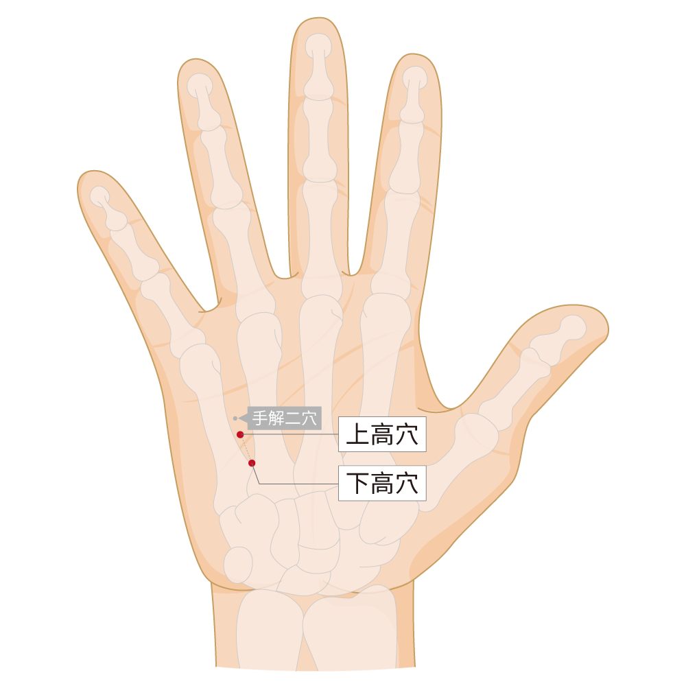上高穴、下高穴-右手