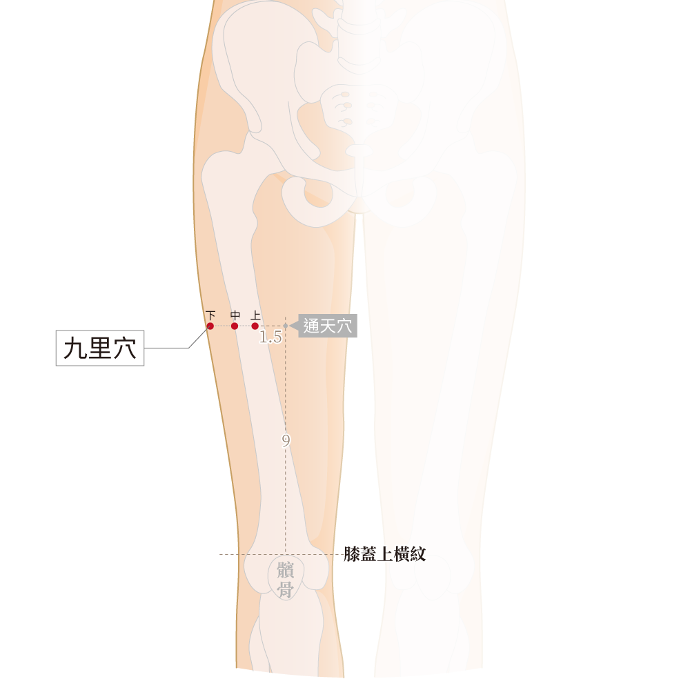 下九里穴、上九里穴、中九里穴