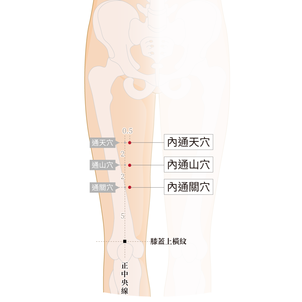 內通關穴、內通山穴、內通天穴