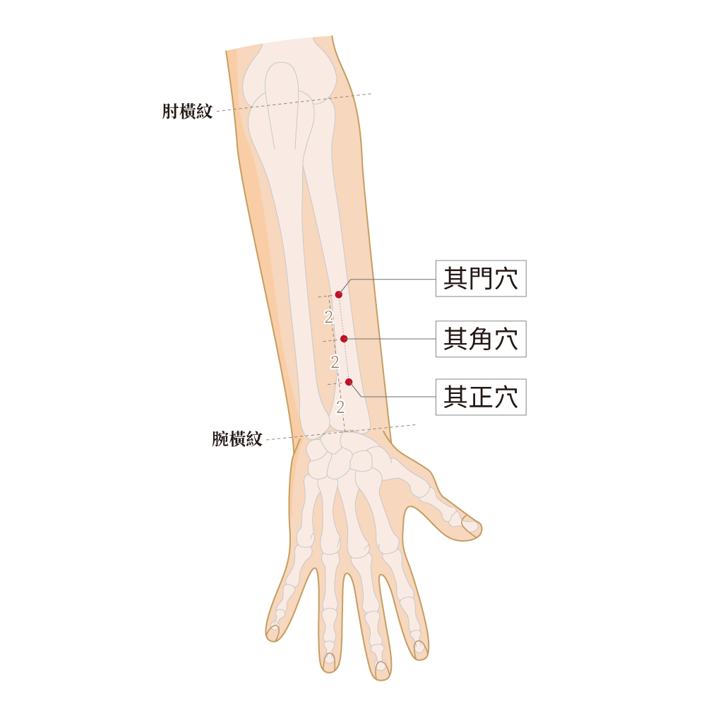 其門穴、其角穴、其正穴
