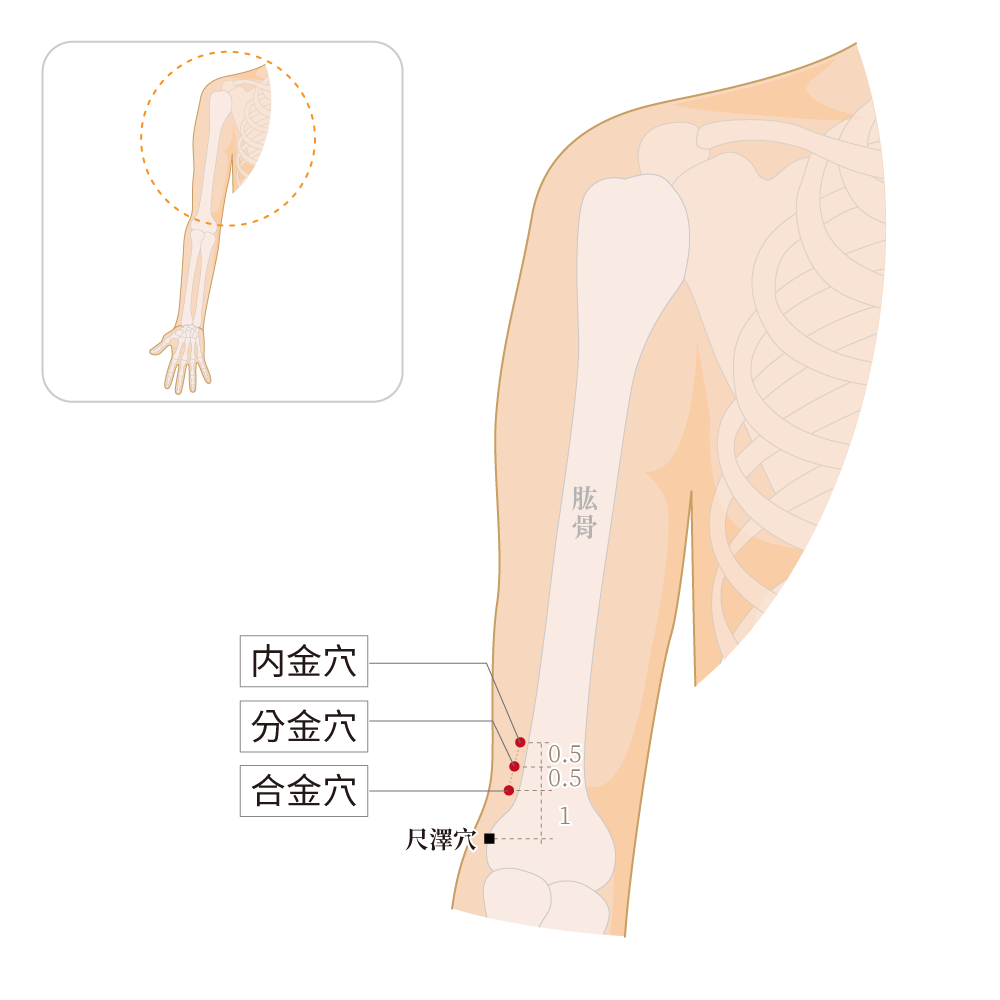 分金穴、合金穴、內金穴