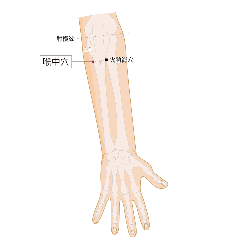 喉中穴