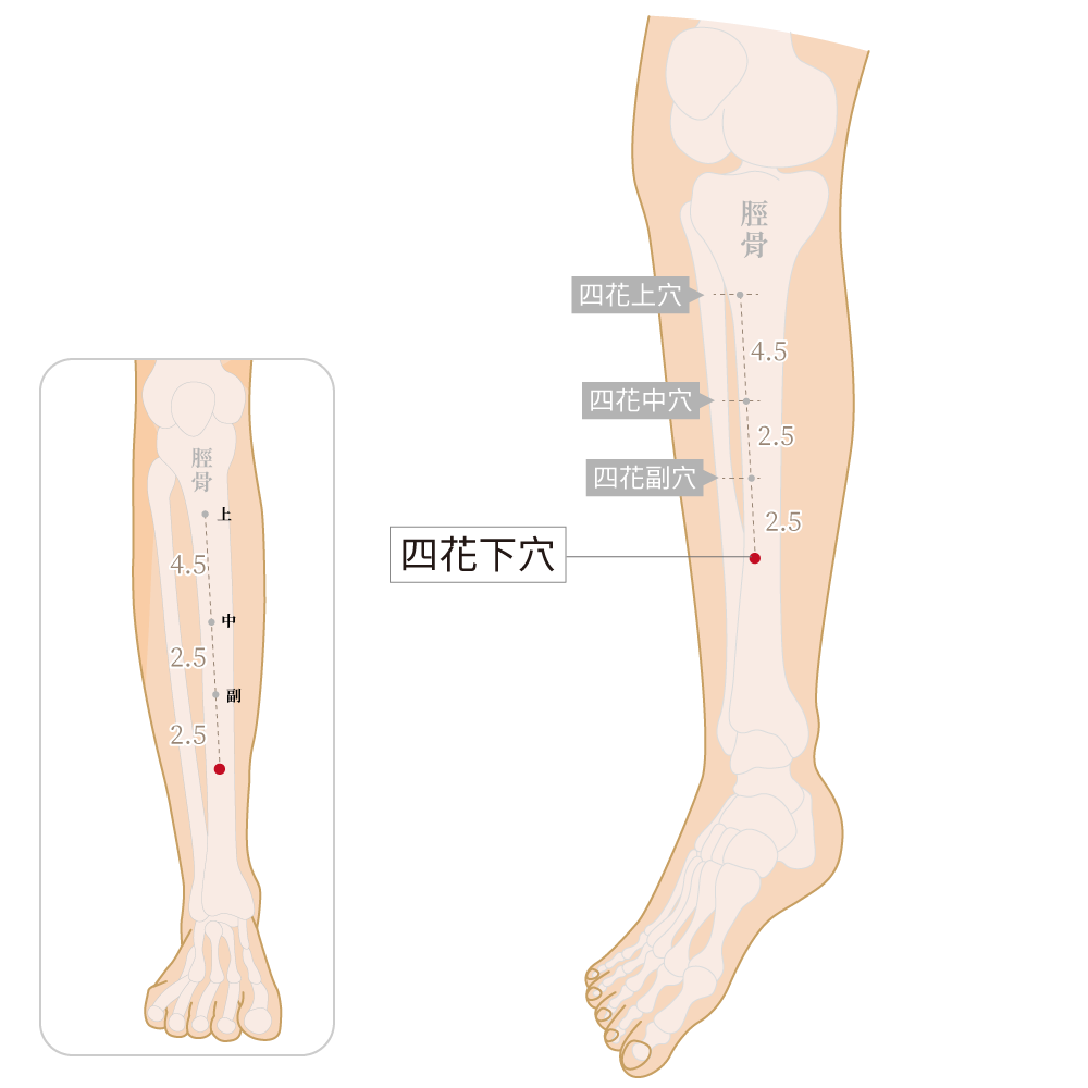 四花下穴
