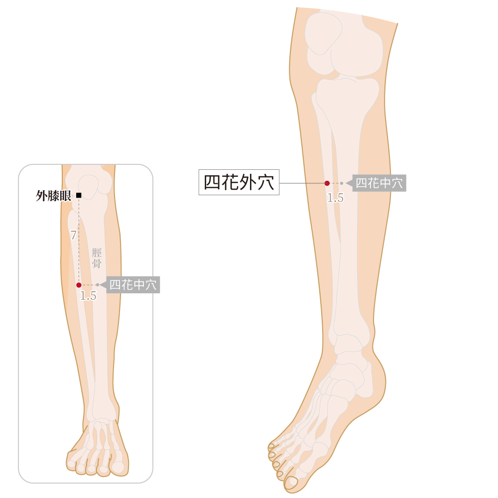 四花外穴