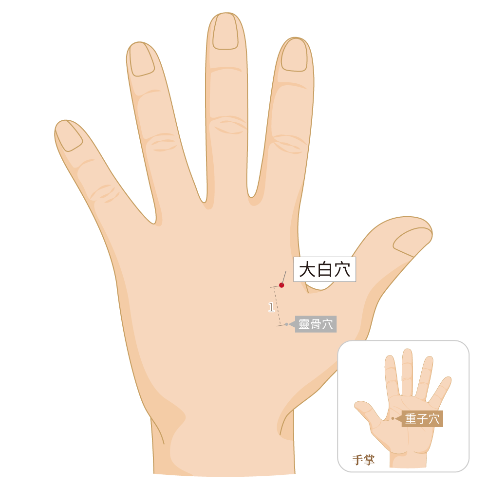 大白穴-左手