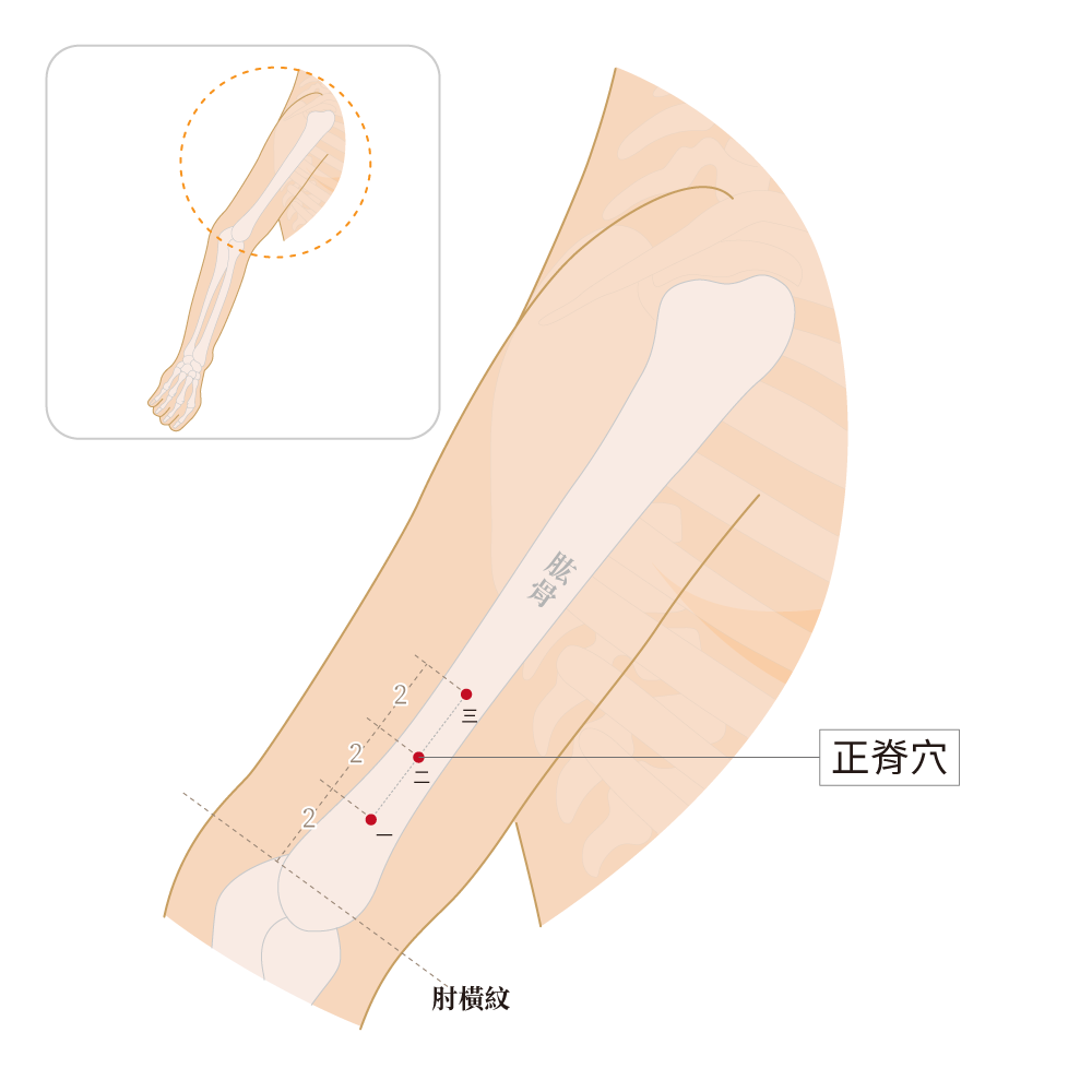 正脊一穴、正脊二穴、正脊三穴