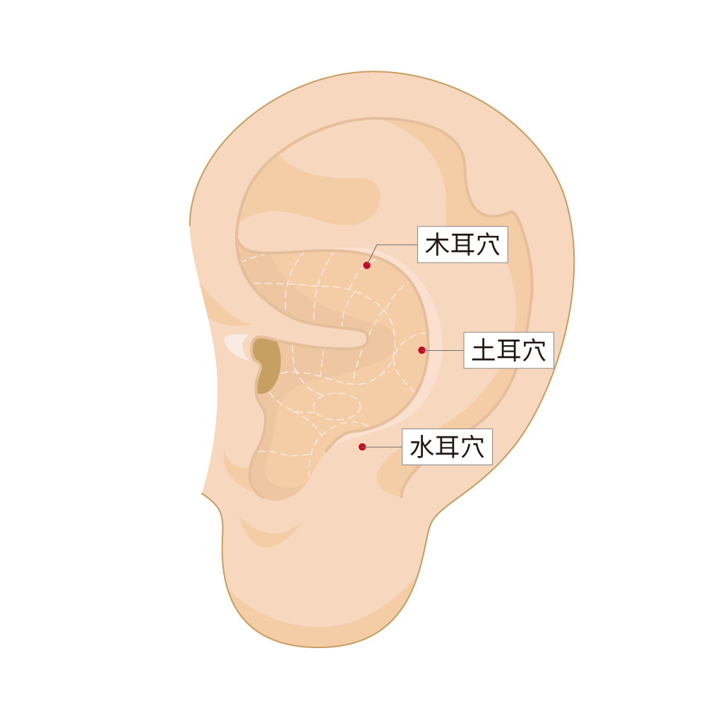 火耳穴、土耳穴、水耳穴