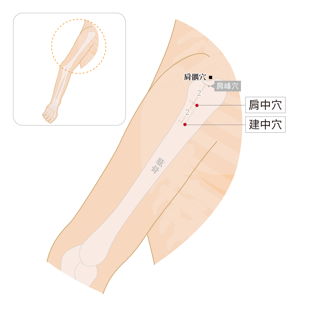 肩中穴、建中穴