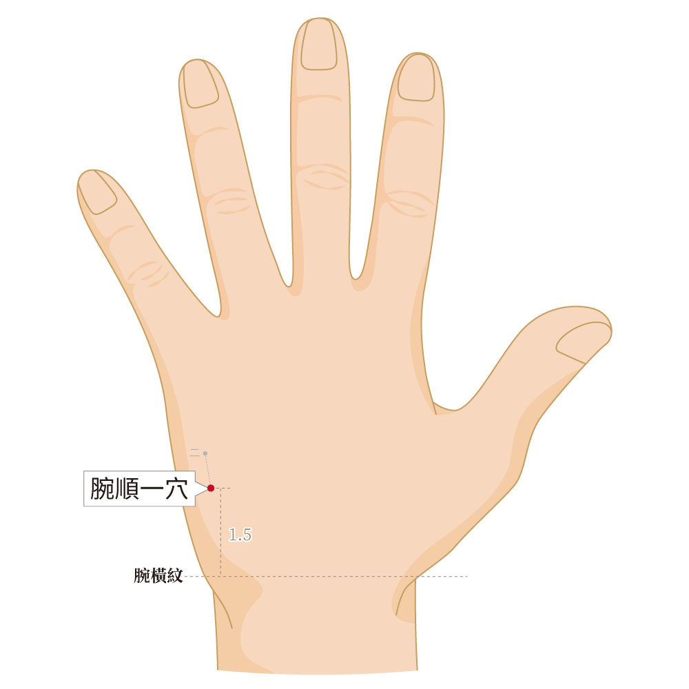 腕順一穴-左手