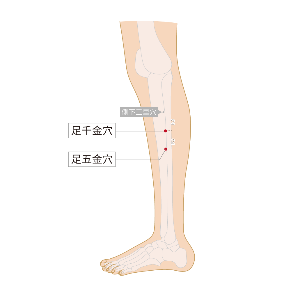足千金穴、足五金穴