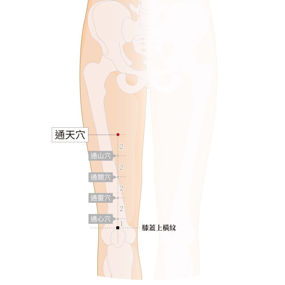 通天穴