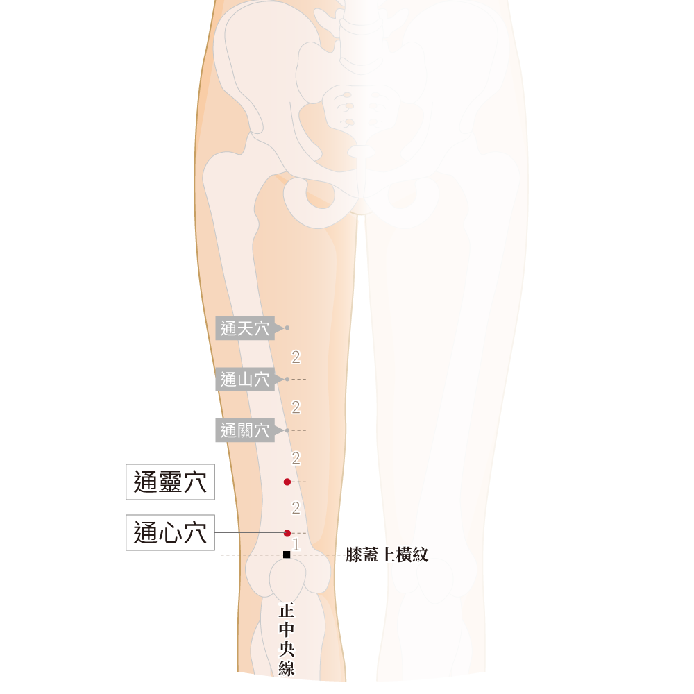 通心穴、通靈穴