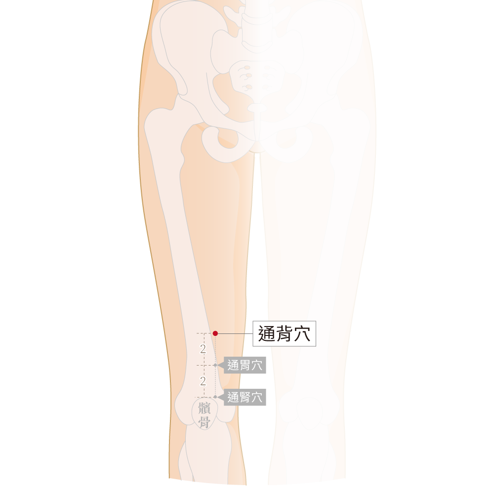 通背穴