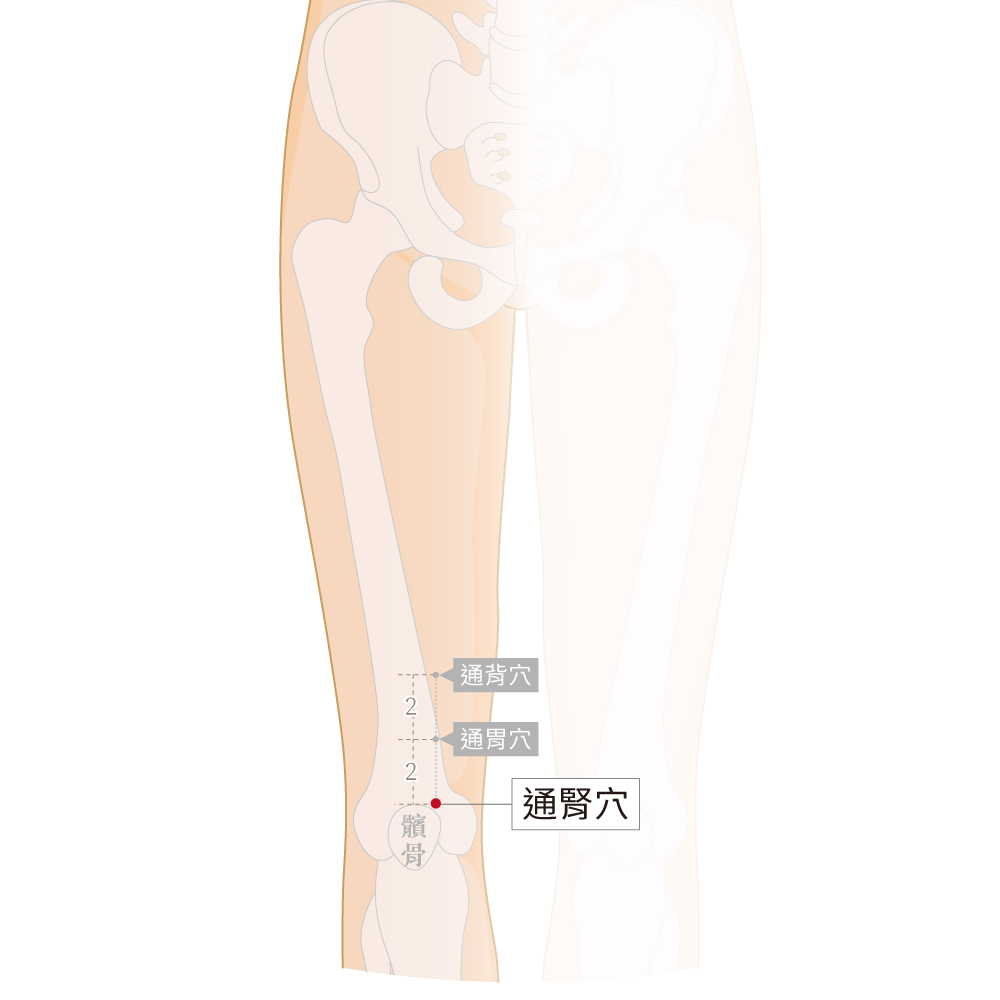 通腎穴