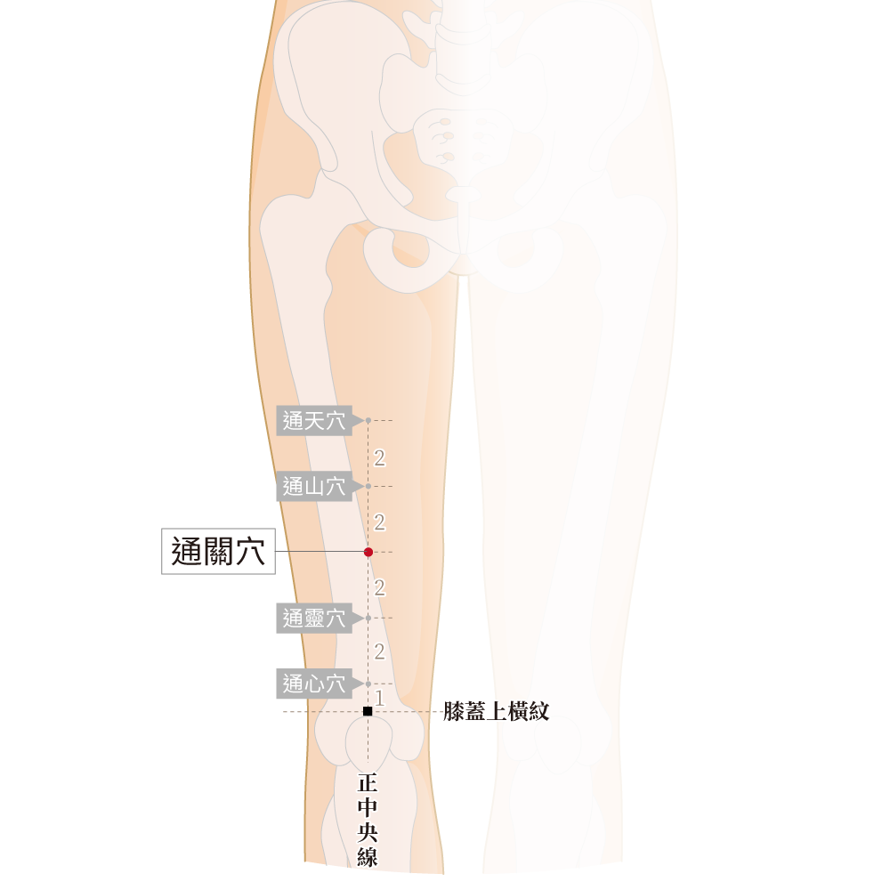 通關穴