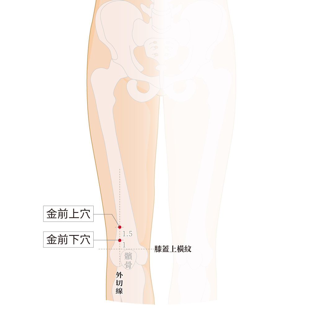 金前下穴、金前上穴