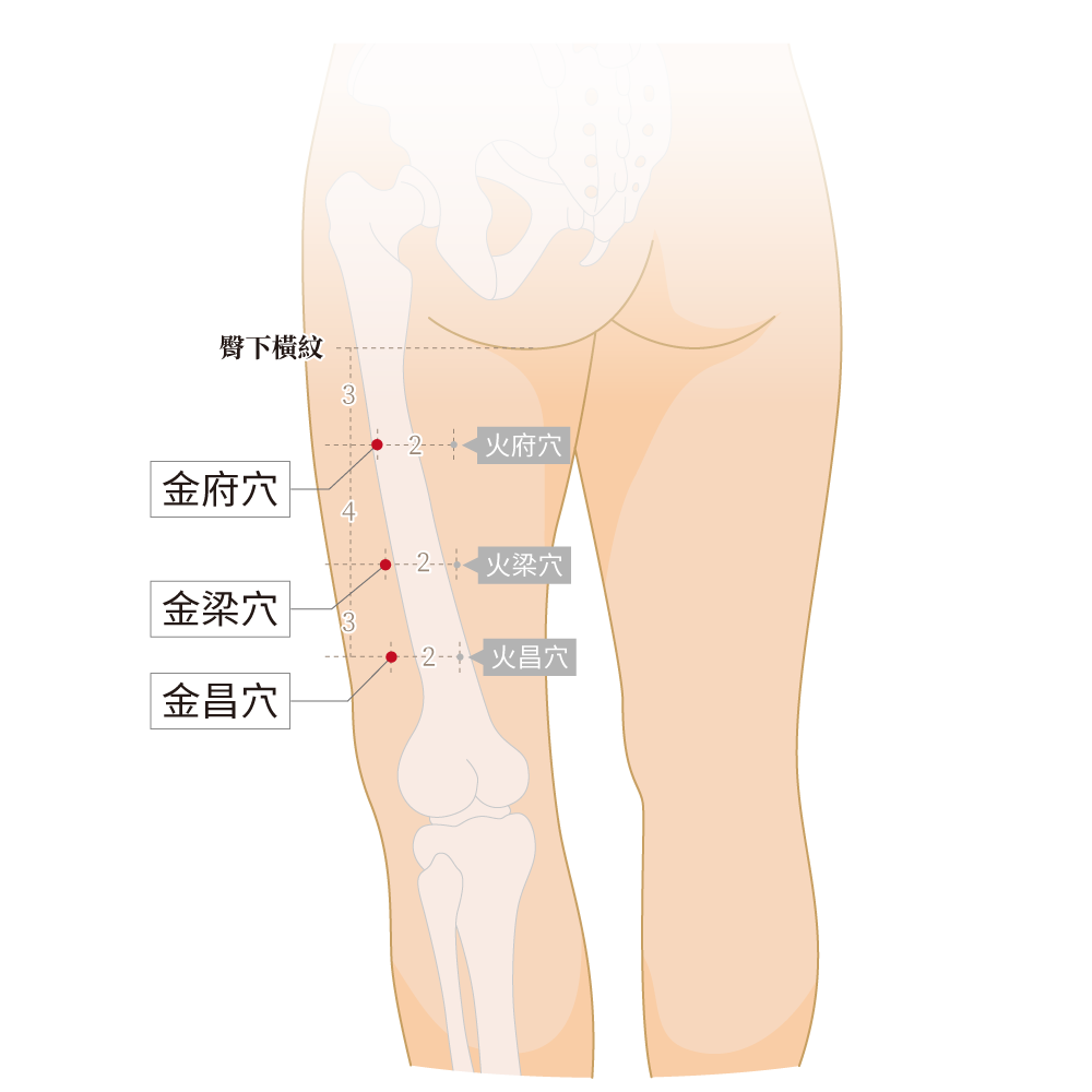 金府穴、金梁穴、金昌穴