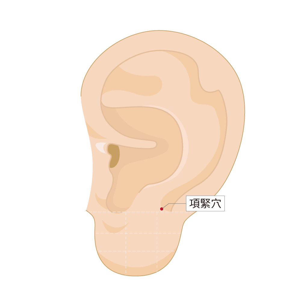 項緊穴