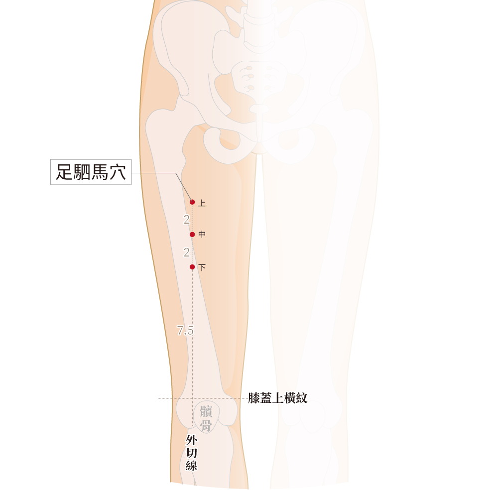 駟馬下穴、駟馬上穴、駟馬中穴