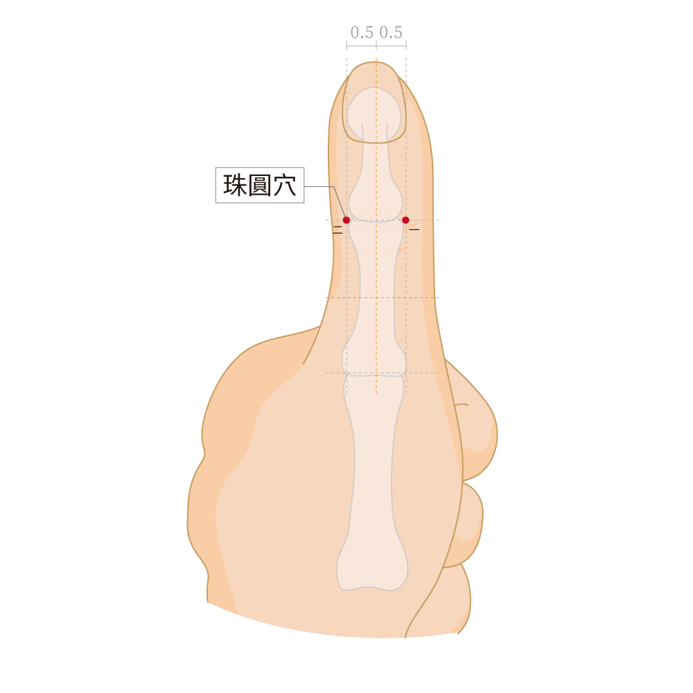 珠圓穴-左手
