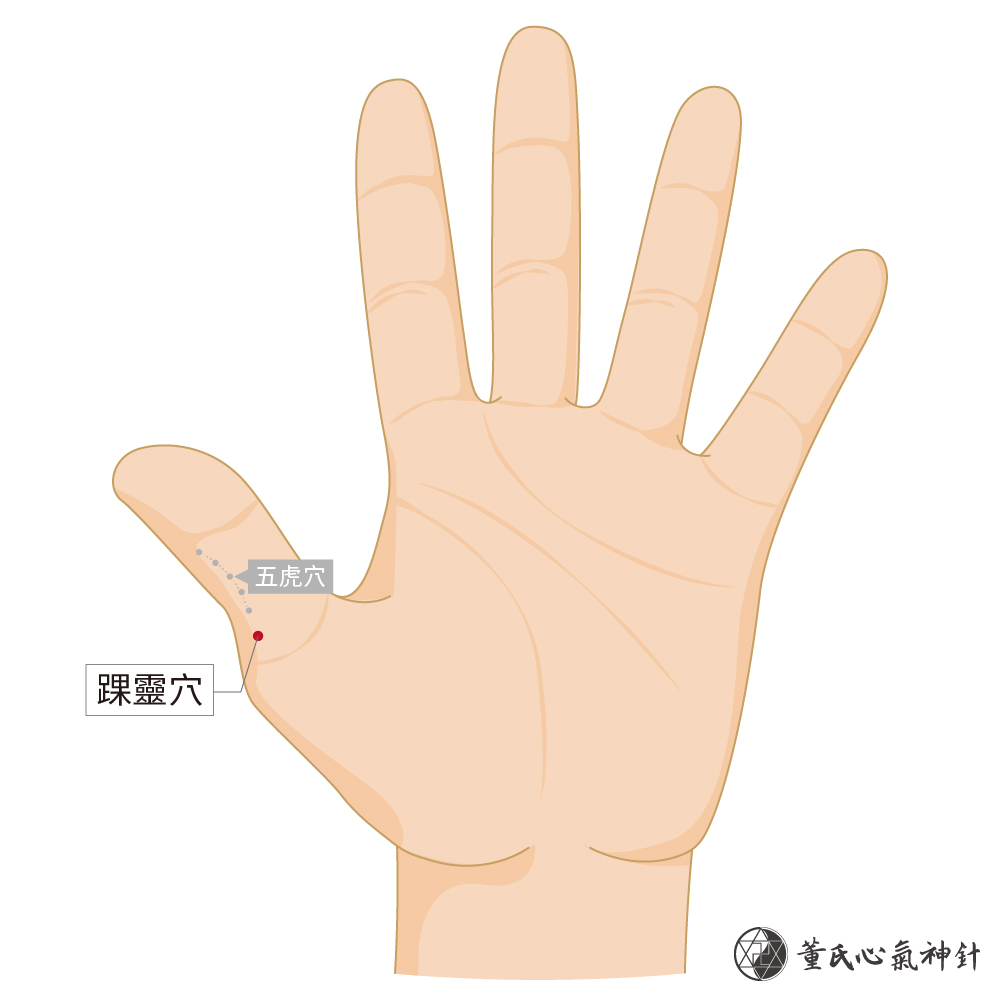 踝靈穴 董氏心氣神針 踝靈穴 董氏心氣神針