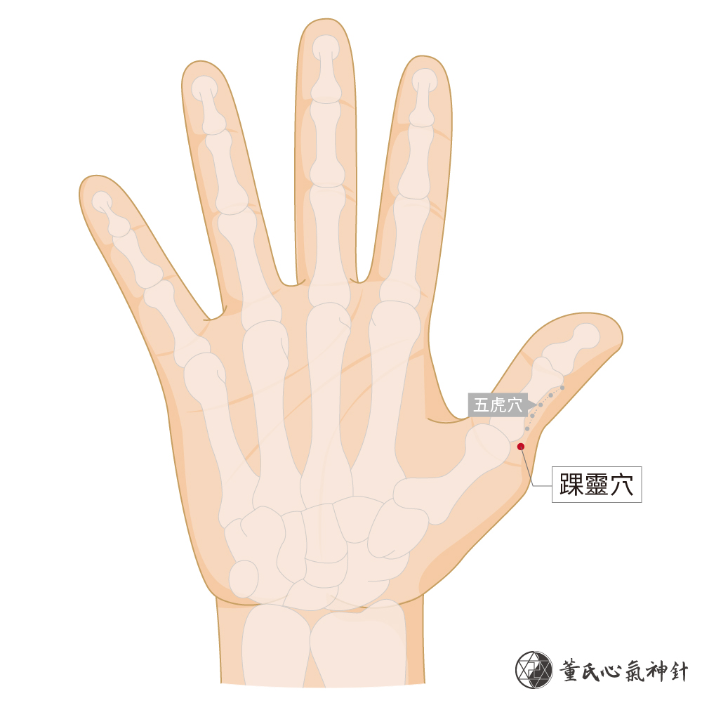 踝靈穴 董氏心氣神針 踝靈穴 董氏心氣神針