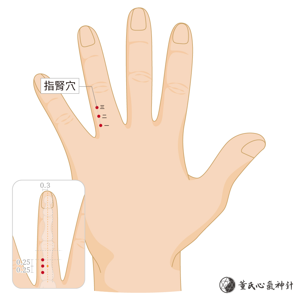 指腎穴-左手