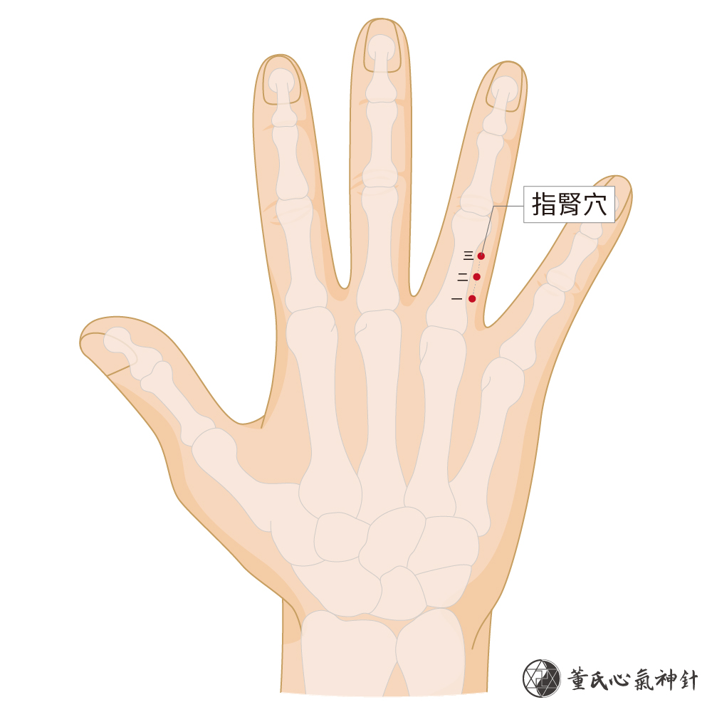指腎穴-右手
