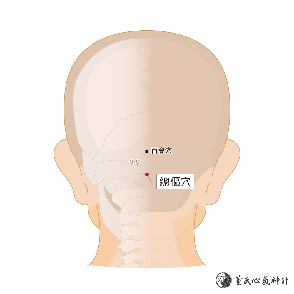 總樞穴