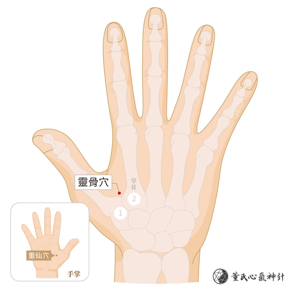 靈骨穴 董氏心氣神針