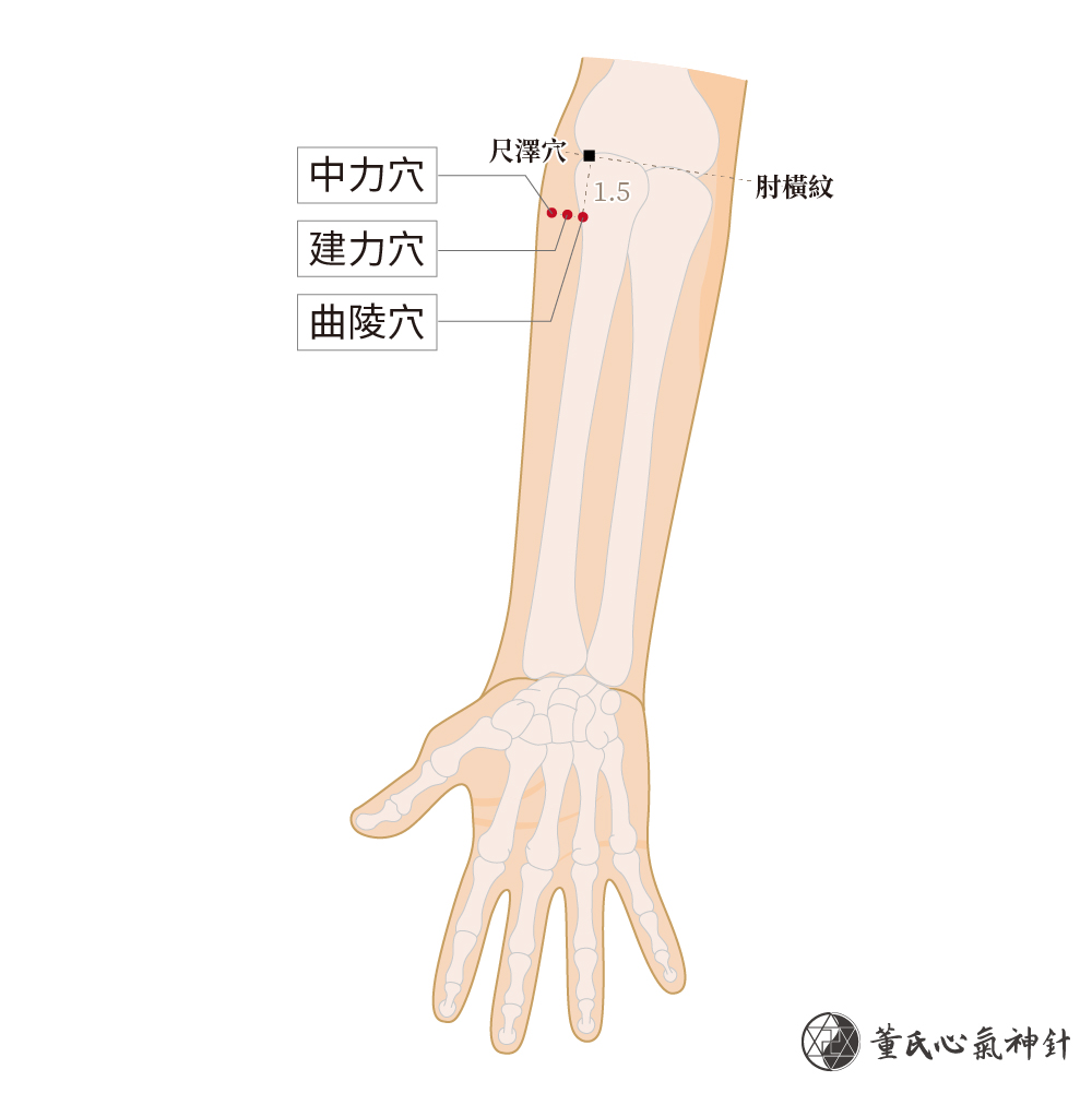 曲陵穴、建力穴、中力穴