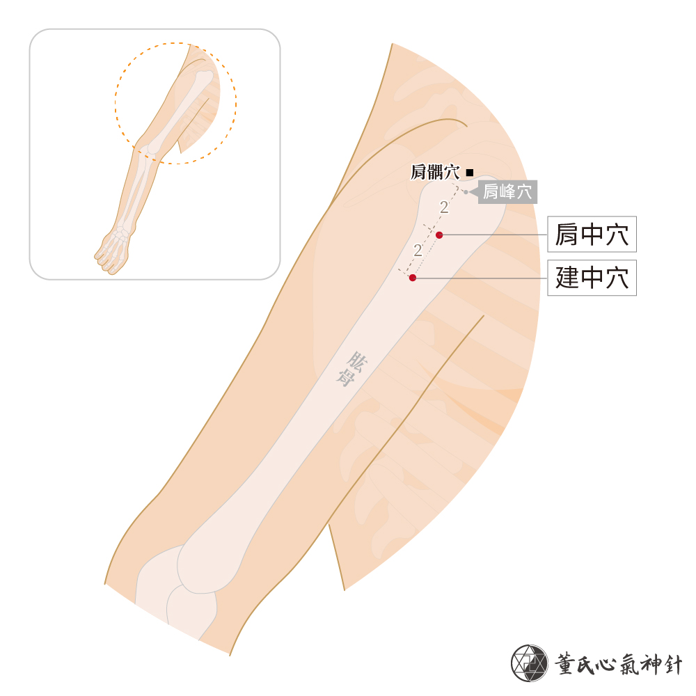 肩中穴、建中穴