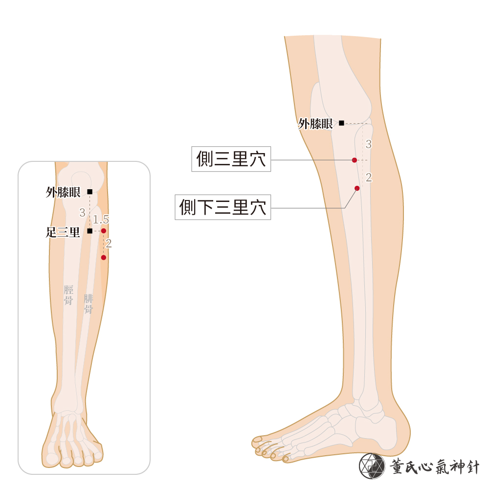 側三里穴、側下三里