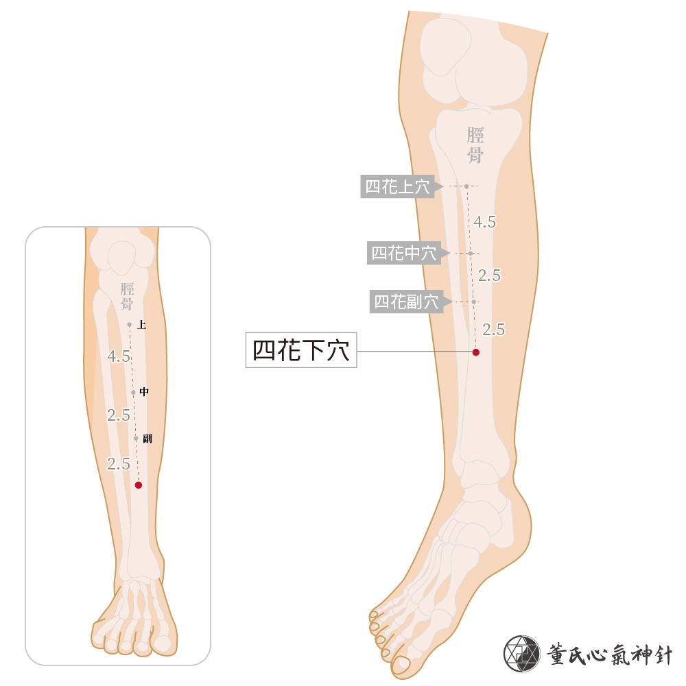 四花下穴