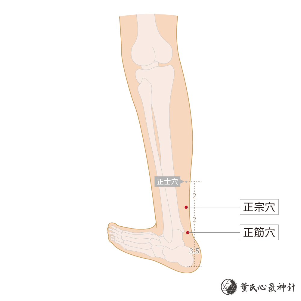 7-7-正筋穴、正宗穴