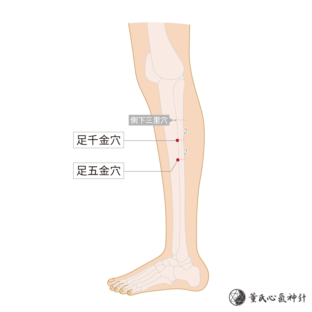 足千金穴、足五金穴