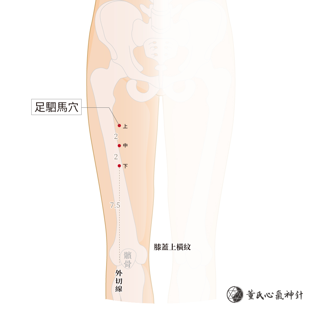 驷马 