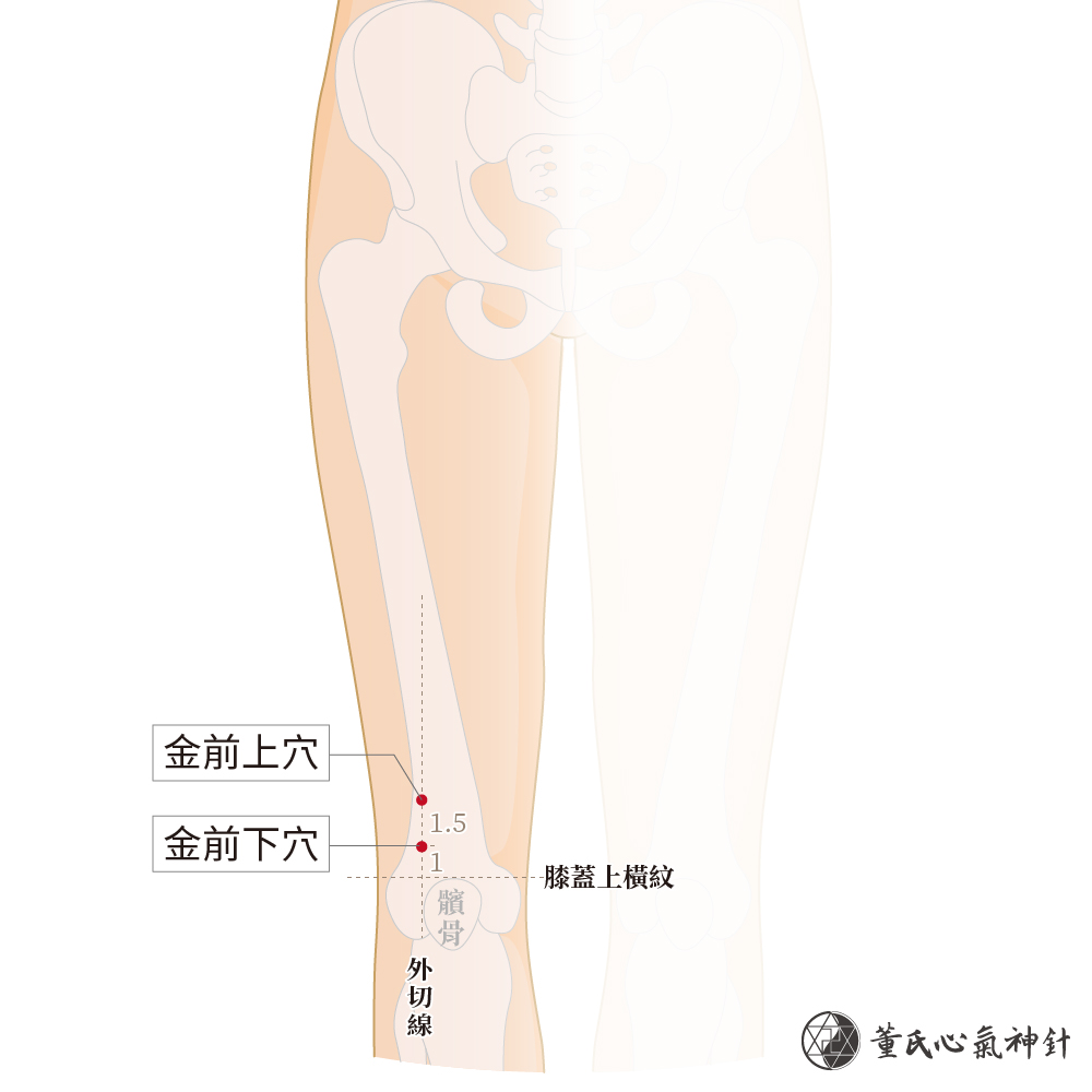 金前下穴、金前上穴