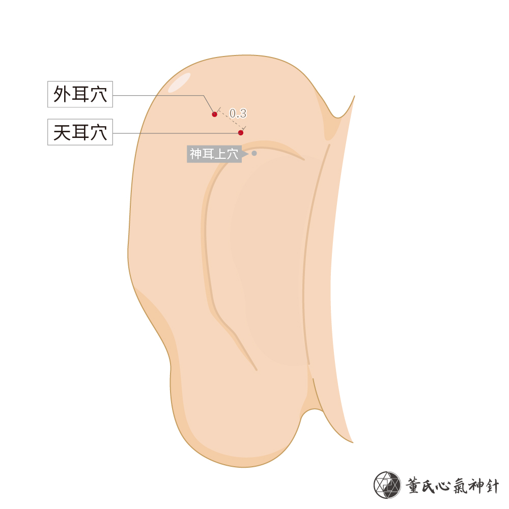 天耳穴、外耳穴