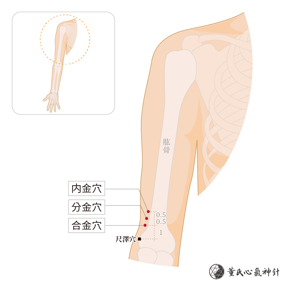 分金穴、合金穴、內金穴
